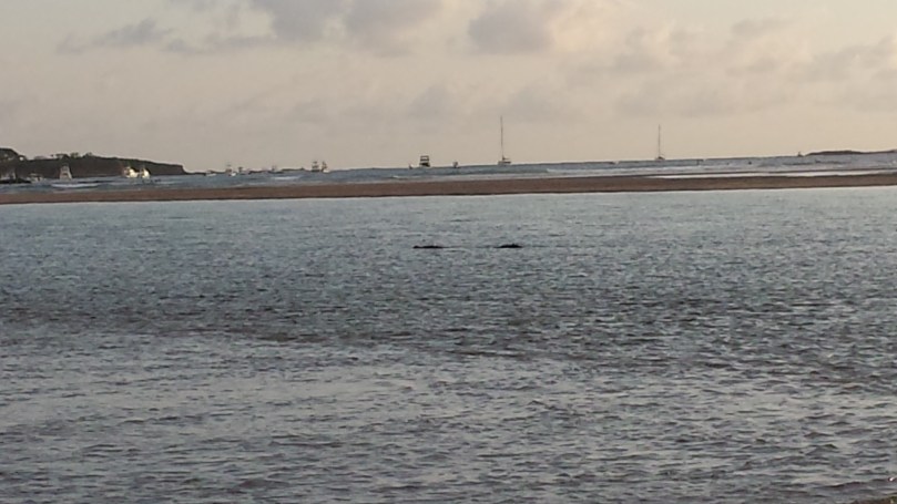 4e19b329-1e80-47c0-817d-a94cb45692f9